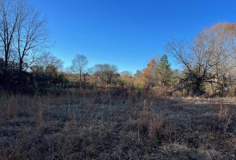 11764 MACON RD, Eads, Tennessee 38028, ,Land,For Sale,MACON,10190272