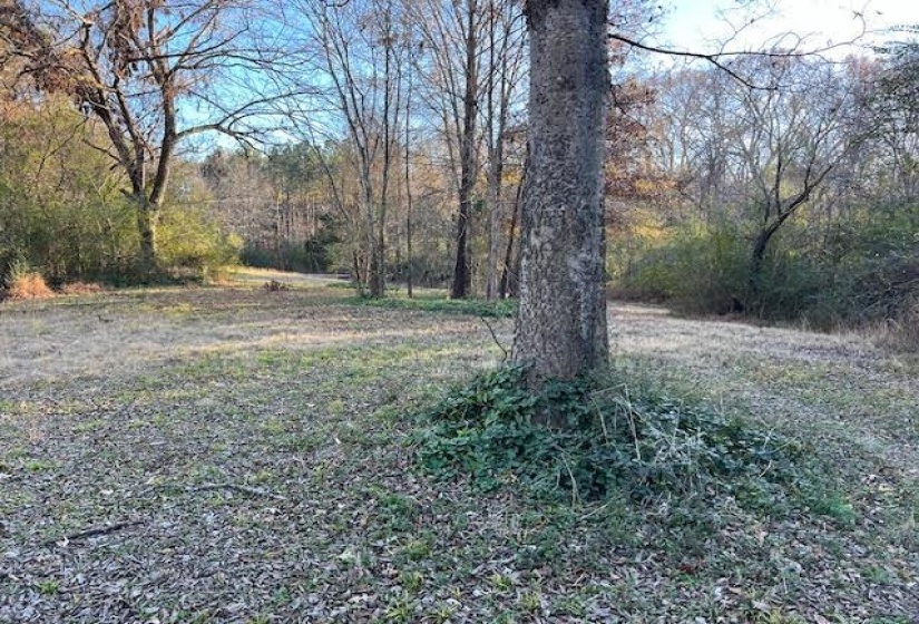 11764 MACON RD, Eads, Tennessee 38028, ,Land,For Sale,MACON,10190272