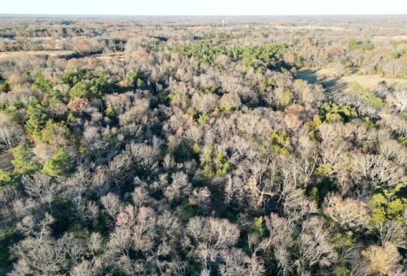 11764 MACON RD, Eads, Tennessee 38028, ,Land,For Sale,MACON,10190272