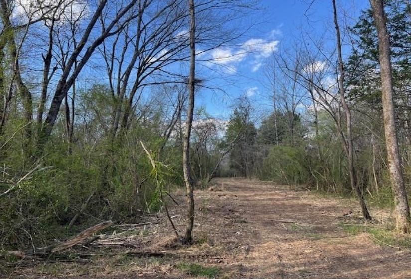11764 MACON RD, Eads, Tennessee 38028, ,Land,For Sale,MACON,10190272