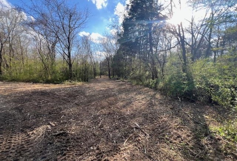 11764 MACON RD, Eads, Tennessee 38028, ,Land,For Sale,MACON,10190272