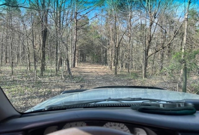 11764 MACON RD, Eads, Tennessee 38028, ,Land,For Sale,MACON,10190272