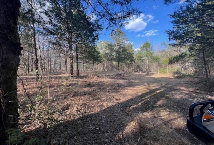 11764 MACON RD, Eads, Tennessee 38028, ,Land,For Sale,MACON,10190272