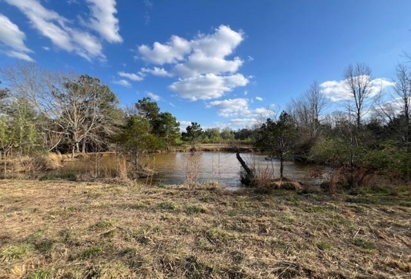 11764 MACON RD, Eads, Tennessee 38028, ,Land,For Sale,MACON,10190272