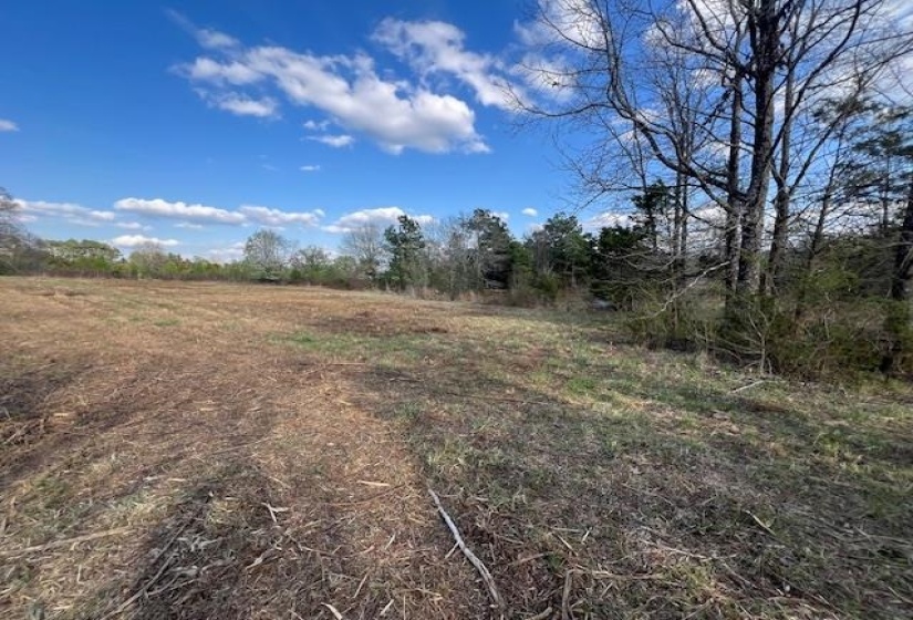 11764 MACON RD, Eads, Tennessee 38028, ,Land,For Sale,MACON,10190272