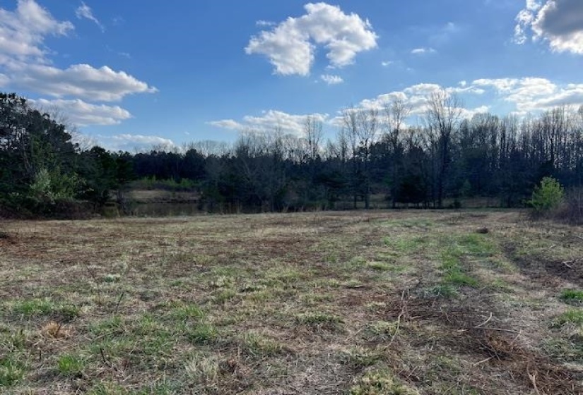 11764 MACON RD, Eads, Tennessee 38028, ,Land,For Sale,MACON,10190272