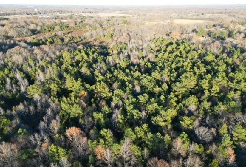 11764 MACON RD, Eads, Tennessee 38028, ,Land,For Sale,MACON,10190272