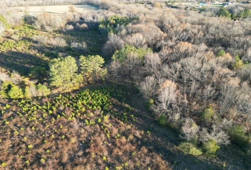 11764 MACON RD, Eads, Tennessee 38028, ,Land,For Sale,MACON,10190272