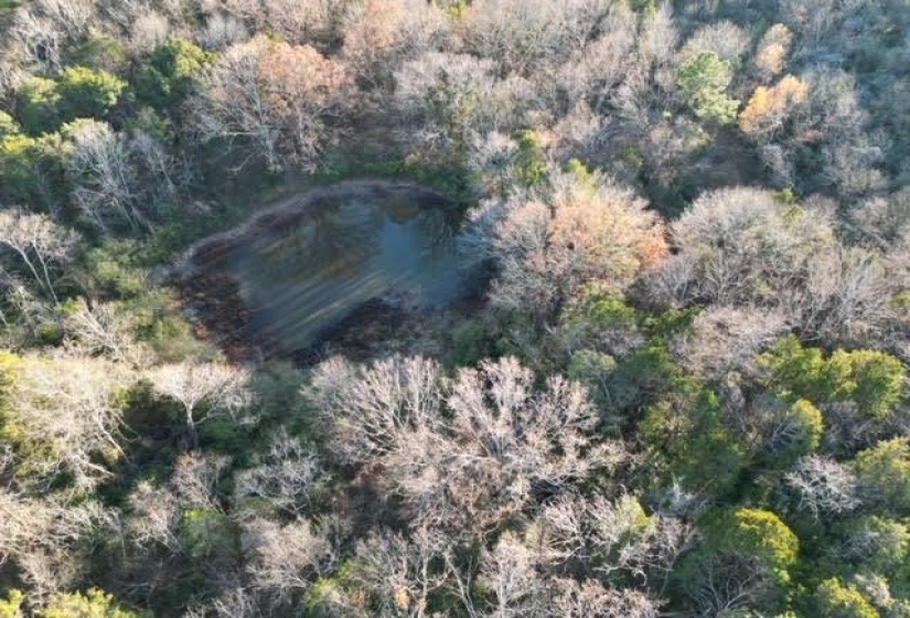 11764 MACON RD, Eads, Tennessee 38028, ,Land,For Sale,MACON,10190272