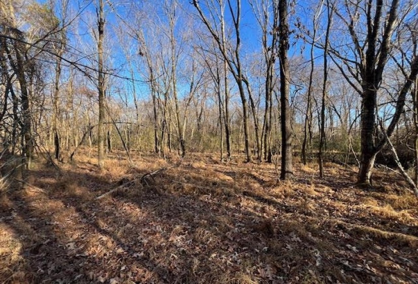11764 MACON RD, Eads, Tennessee 38028, ,Land,For Sale,MACON,10190272