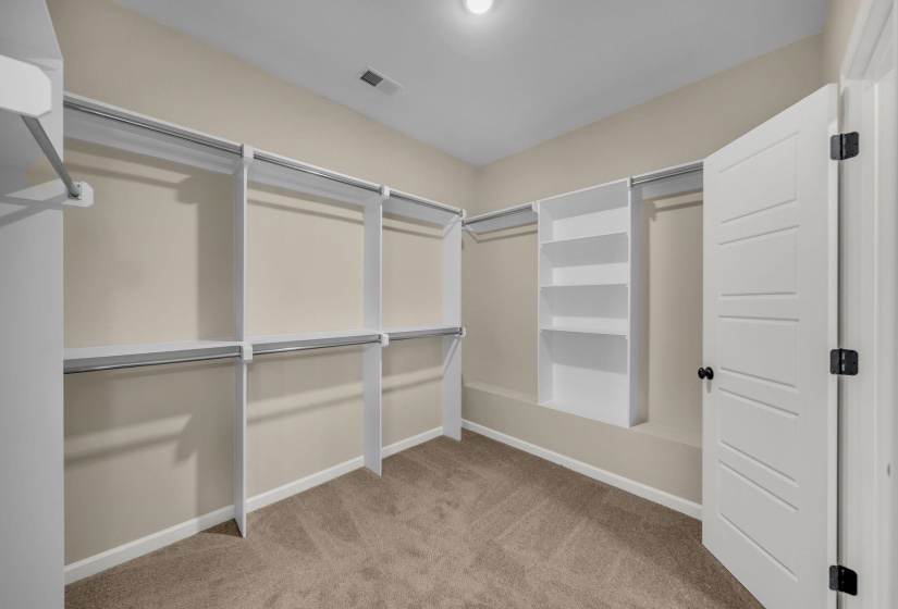 Spacious closet with visible vents and carpet flooring