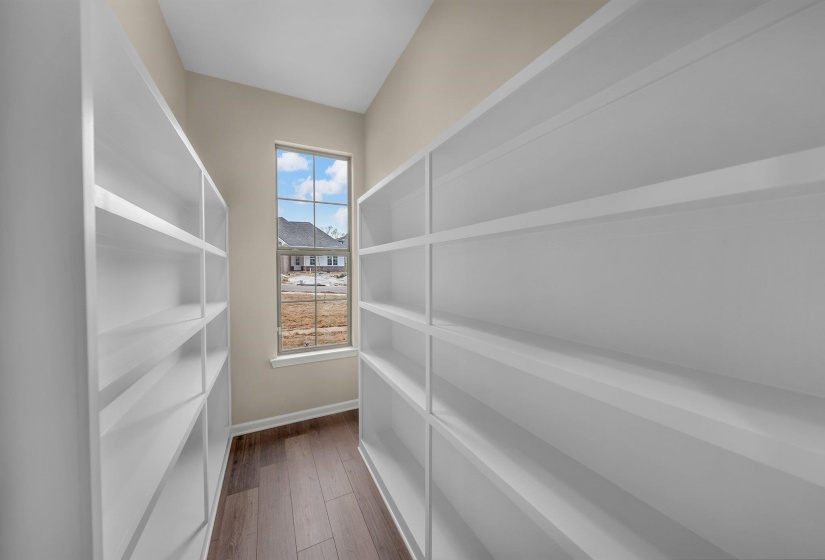 Walk in closet featuring dark wood-type flooring