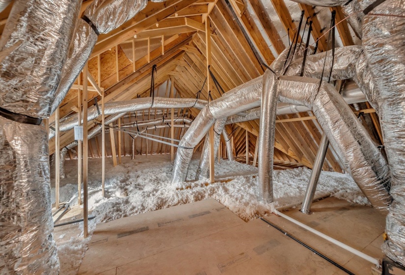 View of unfinished attic