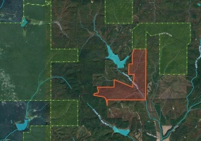 0 CR 419 RD, Ripley, Mississippi 38603, ,Land,For Sale,CR 419,10190339 0 CR 419 RD, Ripley, Mississippi 38603, ,Land,For Sale,CR 419,10190339