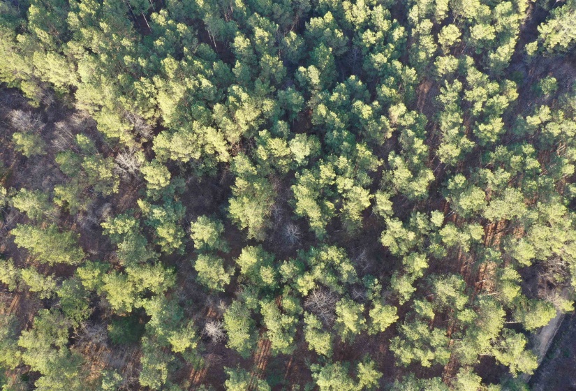 Aerial overview of property's location