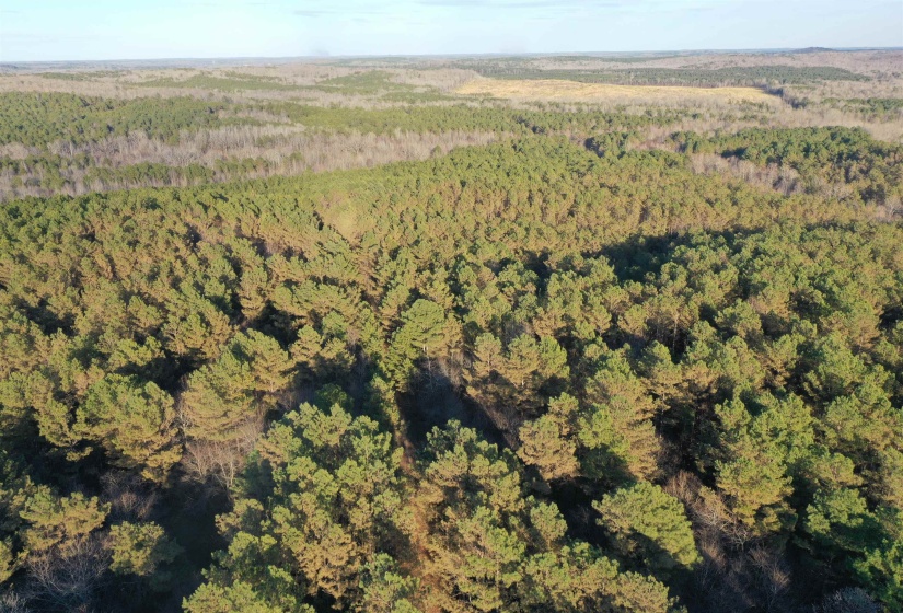View of property location with a heavily wooded area