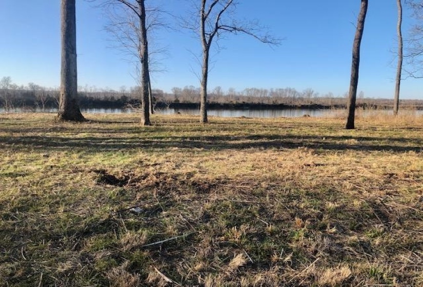 LOT 8 CADEN CV, Savannah, Tennessee 38372, ,Land,For Sale,CADEN,10190717