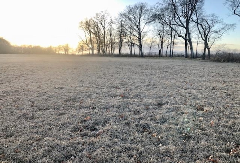 LOT 8 CADEN CV, Savannah, Tennessee 38372, ,Land,For Sale,CADEN,10190717