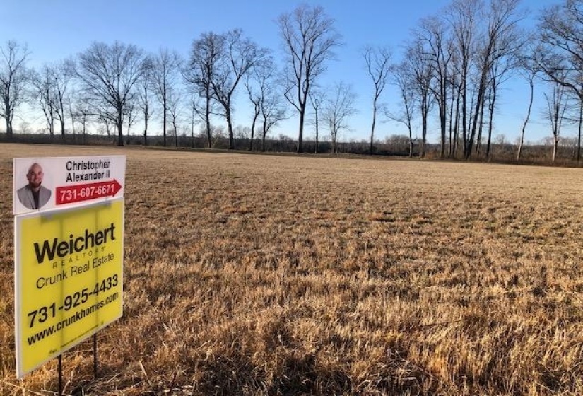LOT 8 CADEN CV, Savannah, Tennessee 38372, ,Land,For Sale,CADEN,10190717