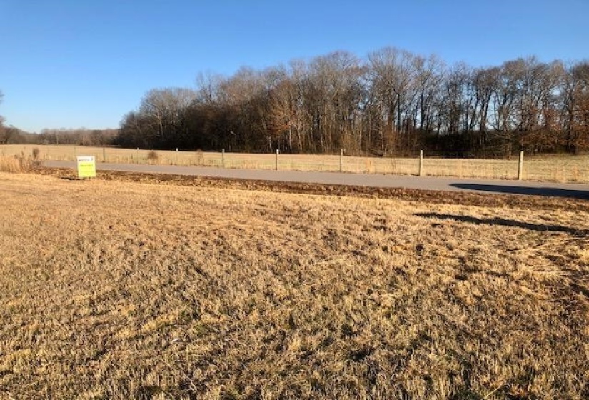LOT 8 CADEN CV, Savannah, Tennessee 38372, ,Land,For Sale,CADEN,10190717