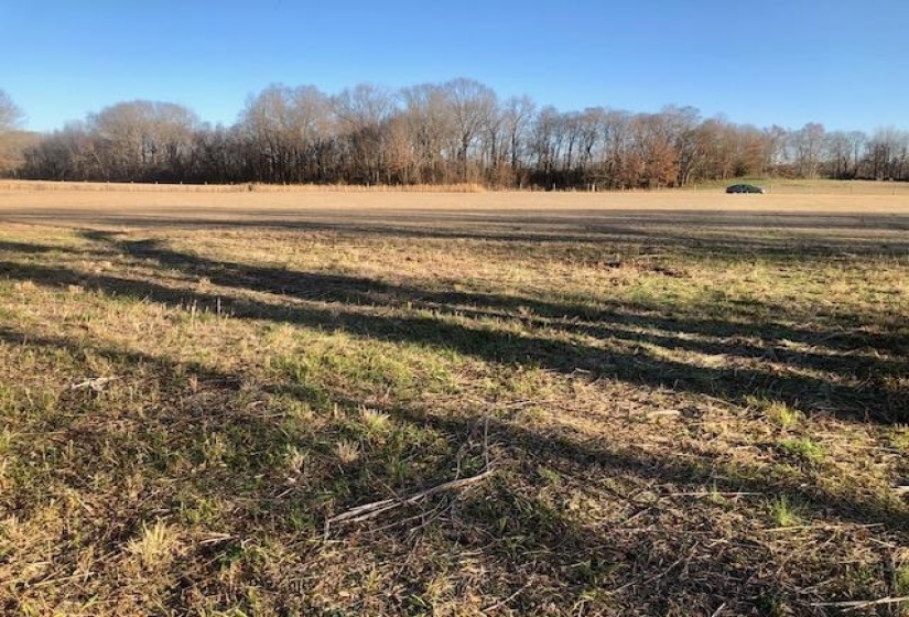 LOT 8 CADEN CV, Savannah, Tennessee 38372, ,Land,For Sale,CADEN,10190717