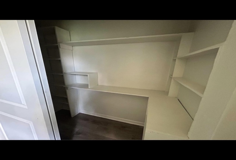 Spacious closet featuring dark wood-type flooring
