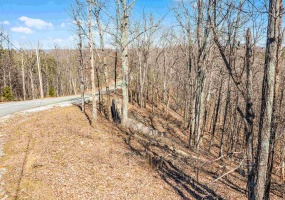 37 EAGLE POINT DR, Cherokee, Alabama 35616, ,Land,For Sale,EAGLE POINT,10191119