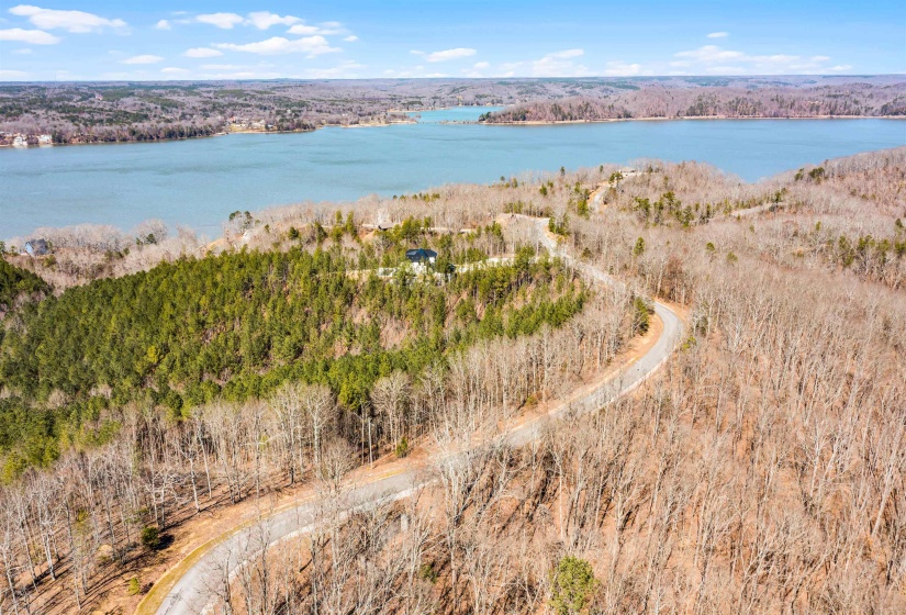 Drone / aerial view with a water view and a view of trees