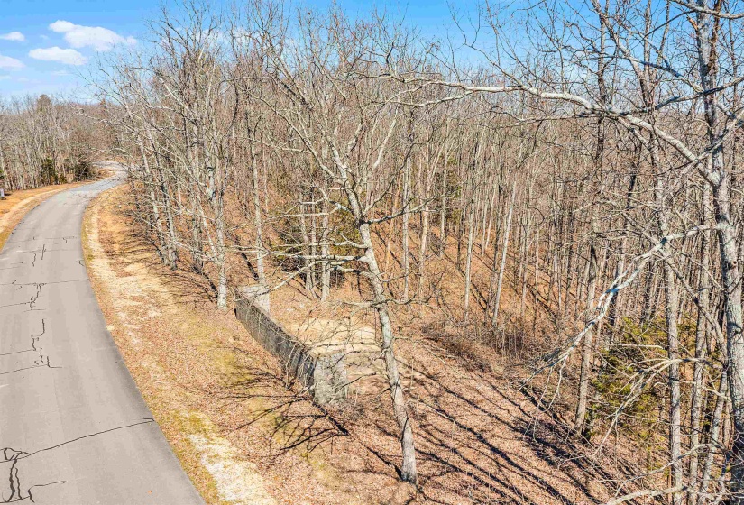 View of street featuring a wooded view
