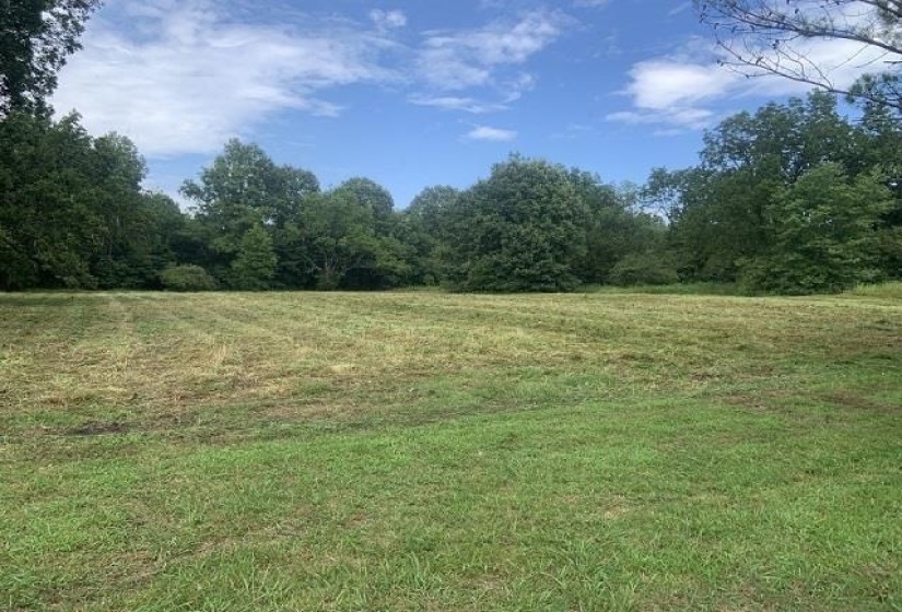 398 TAPPAH ST. CT, Grand Junction, Tennessee 38039, ,Land,For Sale,TAPPAH ST.,10131251