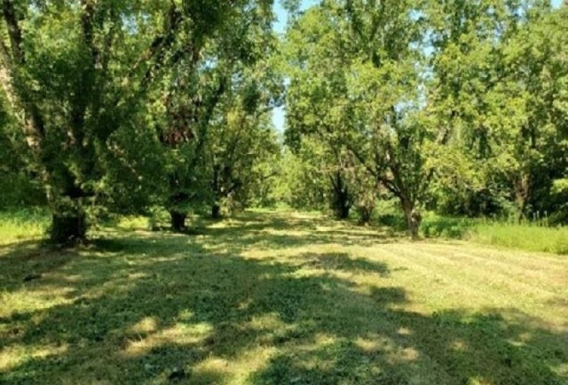 398 TAPPAH ST. CT, Grand Junction, Tennessee 38039, ,Land,For Sale,TAPPAH ST.,10131251