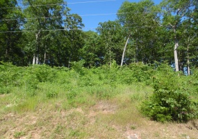 83-85 ADAM LOOP, Bath Springs, Tennessee 38311, ,Land,For Sale,ADAM,10191612