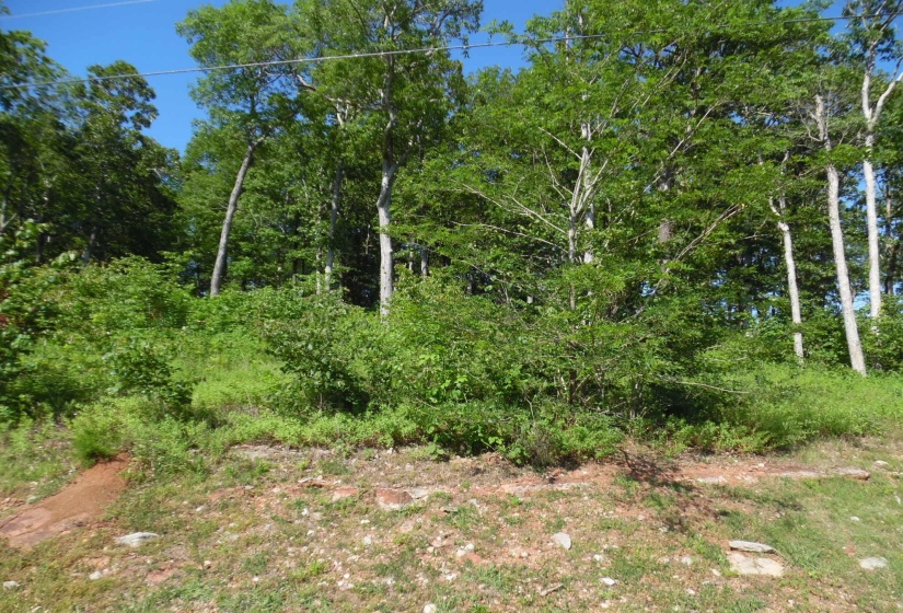 83-85 ADAM LOOP, Bath Springs, Tennessee 38311, ,Land,For Sale,ADAM,10191612