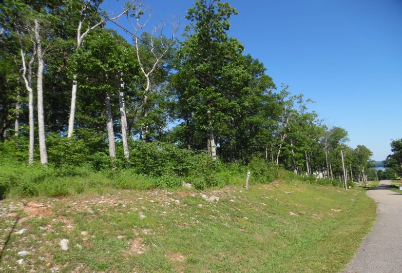 83-85 ADAM LOOP, Bath Springs, Tennessee 38311, ,Land,For Sale,ADAM,10191612