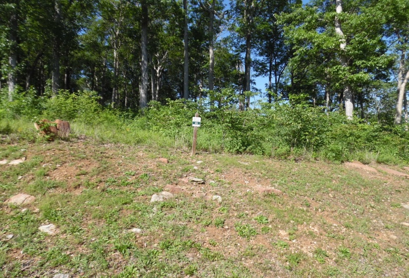 83-85 ADAM LOOP, Bath Springs, Tennessee 38311, ,Land,For Sale,ADAM,10191612