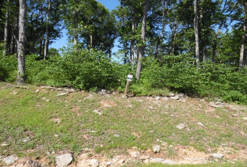83-85 ADAM LOOP, Bath Springs, Tennessee 38311, ,Land,For Sale,ADAM,10191612