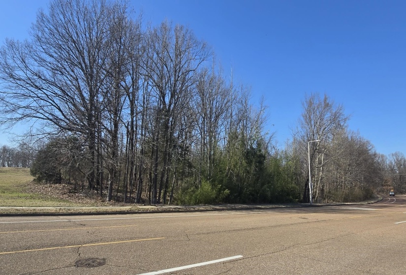 View of road