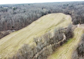 0 AMES RD, Hickory Valley, Tennessee 38042, ,Land,For Sale,AMES,10191729