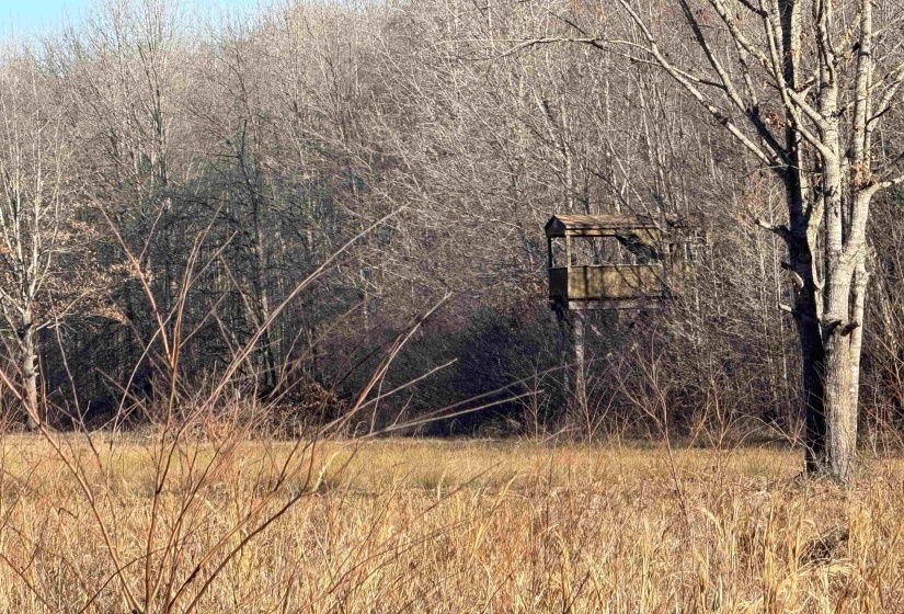 View of nature
