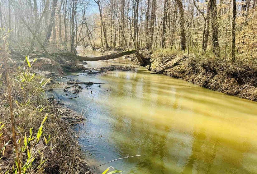 Water view featuring a wooded view