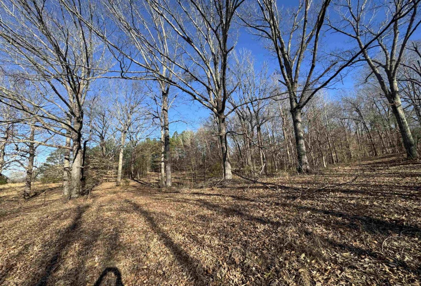 View of landscape with a view of trees