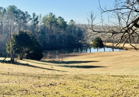 151 WILLIAMS LN, Cedar Grove, Tennessee 38321, ,Land,For Sale,WILLIAMS,10191793