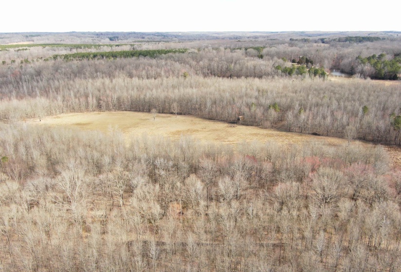 View of nature featuring a rural view