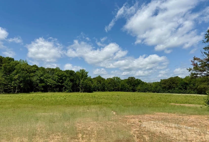 View of woods with a rural view