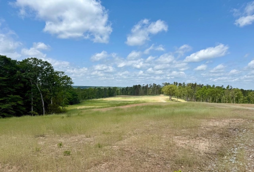 View of woods