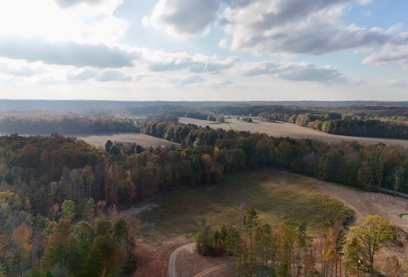 Drone / aerial view with a view of trees