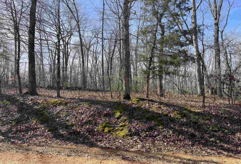 11 OLD LIBERTY RD, Morris Chapel, Tennessee 38361, ,Land,For Sale,OLD LIBERTY,10192763