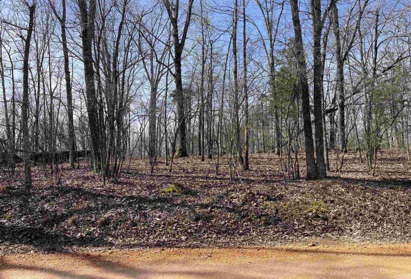 11 OLD LIBERTY RD, Morris Chapel, Tennessee 38361, ,Land,For Sale,OLD LIBERTY,10192763