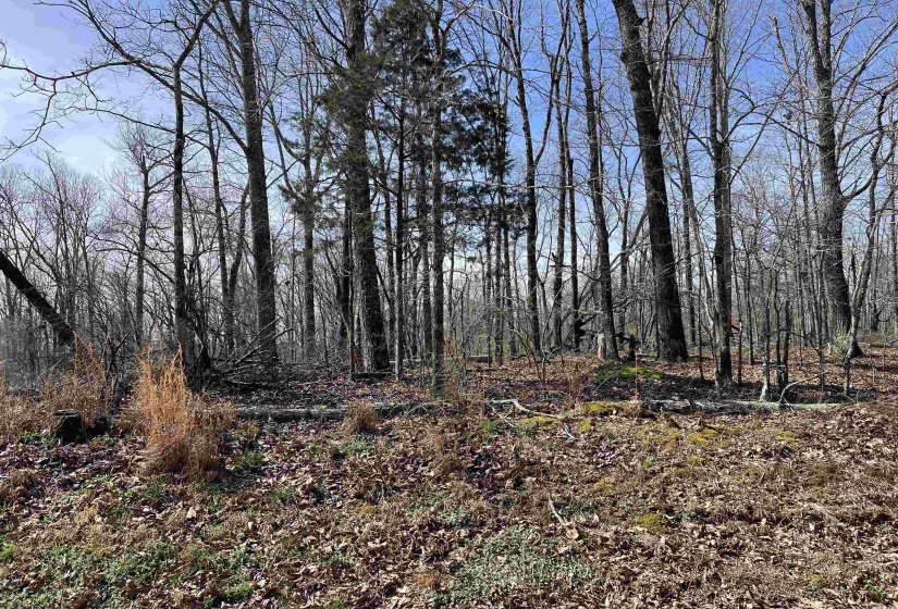 11 OLD LIBERTY RD, Morris Chapel, Tennessee 38361, ,Land,For Sale,OLD LIBERTY,10192763