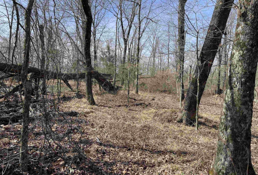 11 OLD LIBERTY RD, Morris Chapel, Tennessee 38361, ,Land,For Sale,OLD LIBERTY,10192763